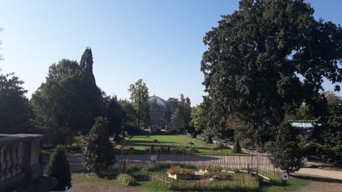La journée d’études « le jardin de demain » est co-organisée par le service des espaces verts et de l’environnement de Paris et l’école Du Breuil. Sur cette photo : les serres d’Auteuil, l’un des quatre jardins botaniques de Paris. ©Léna Hespel